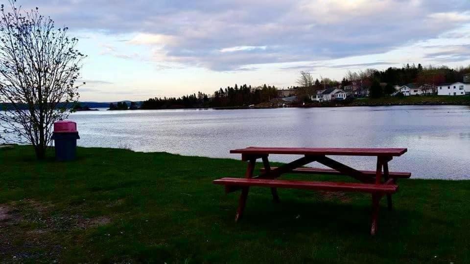 Riverview Suites Clarenville Exterior foto